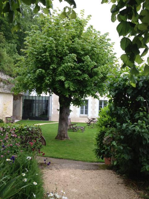 Chateau De Nazelles Amboise Buitenkant foto